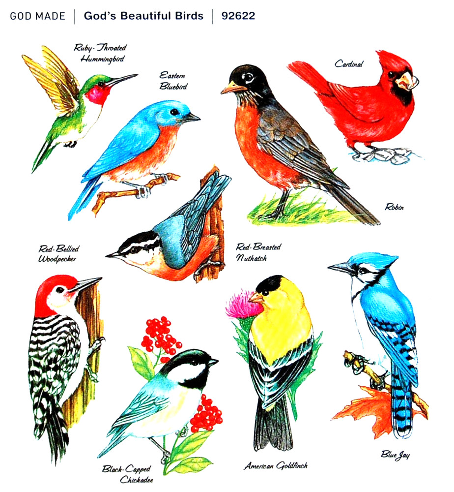 9 COLORFUL BIRD VARIETY STICKERS SEALS 4″X4 3/8″ Sheet
