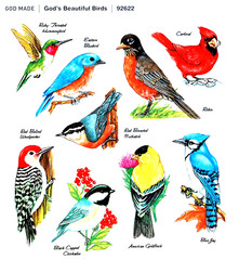 9 COLORFUL BIRD VARIETY STICKERS SEALS 4″X4 3/8″ Sheet