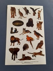 Current see thru wild animals zoo sticker sheet