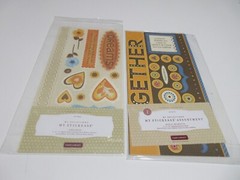 NEW! Vintage Mixed Lot Close To My Heart My Acrylix Stamps Stickers Felt Button