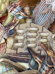 CREATURES OF THE SEA Die-Cuts (6pc)Ocean•Fish•Shells•Seahorse •Turtle•Glittered•