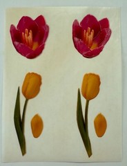 Vintage Magic Wax Pink Yellow Tulip Petals Green Stem Flower Scented Sticker Lot