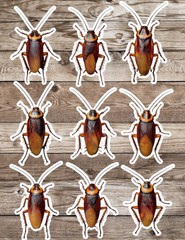 Cockroach Die Cut Vinyl Stickers Scrapbooking Laptop Waterbottle