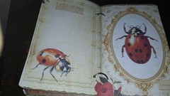 Ladybug Junk Journal Scrapbook Usa Seller