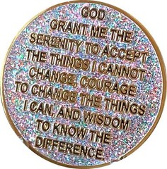 1 Year AA Medallion Reflex Birthday Funfetti Silver Glitter Gold Plated Chip
