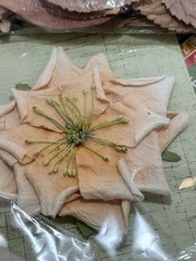 Recollections ArtMinds Embellishments Flowers Leaves Feathers Floral Holiday Lot