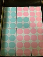 59 PCS TEAL & PINK CIRCLES – 1.5” CIRCLE CIRCUMFERENCE – CIRCLE STICKERS 59pcs