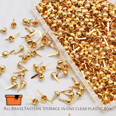 300Pcs Brass Fasteners round Head Brass Plated Fasteners Scrapbooking Brads (1/2