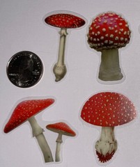 RED/WHITE MUSHROOM Mylar Stickers(6pc)Fungus•Dark•Garden •Toadstool•Spores•Grow•