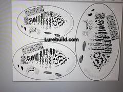 Flat Sheet Stencils: Baitfish Card Sets