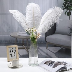 Soarer White Large Ostrich Feathers – 10Pcs 34inch Making Kit Extra Large Ost…