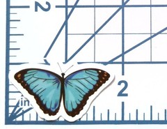 Blue Butterfly Vinyl Sticker Die Cut Teal Insect Decal Nature Journal Scrapbook