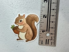 13Pcs Cartoon Squirrel Stickers, Waterproof, Love For Squirrels – New – Gift