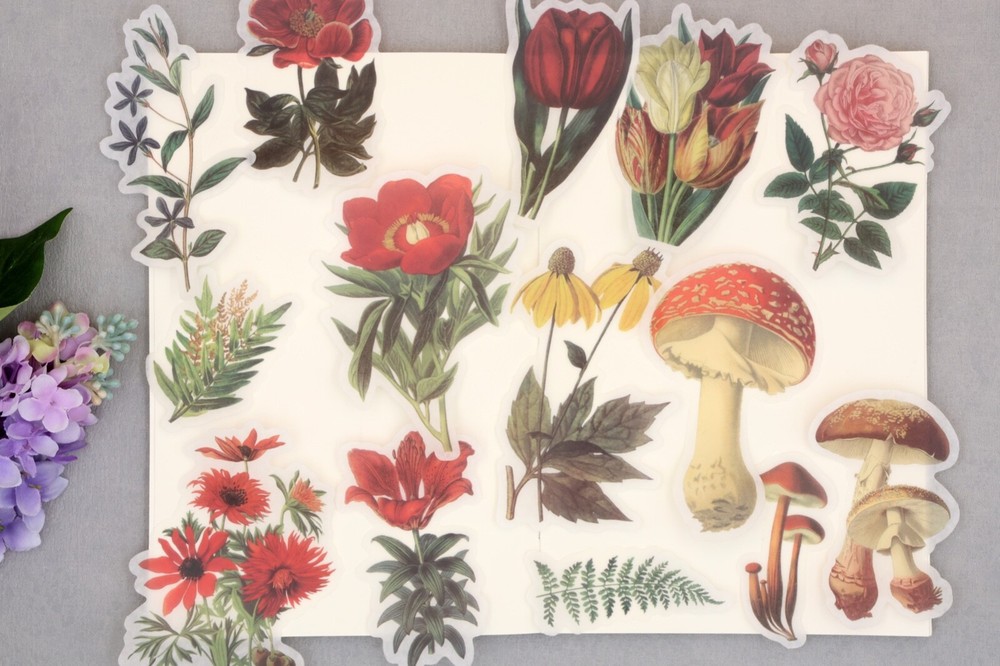 60pc botanical and mushroom Washi stickers | flower die-cut Stickers M02 TZB-L2