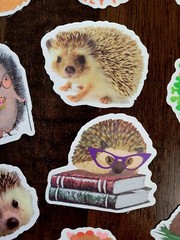 STICKERS x 10 Hedgehogs SASSY Cute Baby Hedgehog Sticker Book Love Flowers HO4