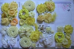 Flower Packs – Mixed YELLOW Colour hews 35 to 75mm in Sizes – 9 Pack Choice VD4