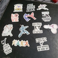 Lot Of 44 Tae Kwon Do Stickers Scrapbooking Crafts