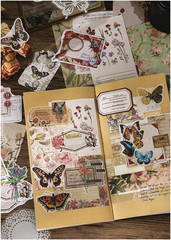 260 Pieces Vintage Scrapbook Supplies Pack, Decorative Nature Retro Paper Sticke