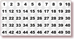 White Consecutive Number Stickers – 1 to 50, 1-inch, 1 Set – Vinyl Self Adhes…