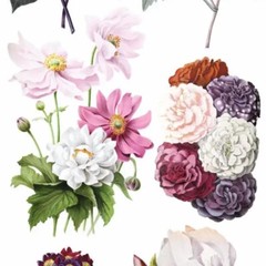 Violette Stickers – Elegant Flowers – 1 Floral Garden Sticker Sheet – Scrapbooks