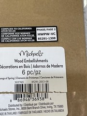 Michael’s Scrapbook Embellishments