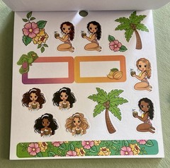 HUGE Lot of Planner Stickers & Paper 3 Complete Books, Stickers, Tabs & More