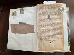 Handmade Botanical Junk Journal Vintage Hardback Repurposed Altered Book Gift