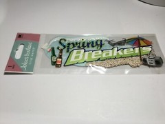 Jolee’s Boutique 1 piece SPRING BREAKERS BREAK 3d Scrapbook Title Wave Sticker
