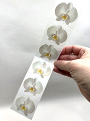 Mrs. Grossman’s White Orchid Stickers Scrapbooking Cardmaking