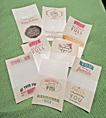 Anna Griffin Well Said 119 Vellum Quote Stickers For Cards And Scrapbooking
