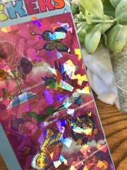 Lisa Frank Crystal Stickers NIP Flowers Butterflies Birds Unicorns P657