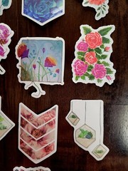 STICKERS x 10 Plants Flowers Tree Orchid Succulents Grow Rose Poppy PL4