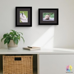 Mat Board 8×10 for 5×7 Photos – Acid Free, 4-ply, 4.5″ X 6.5″ Opening – Framing