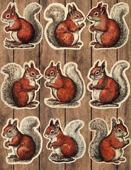 Vintage Style Squirrel Die Cut Stickers Set Scrapbooking Laptop Waterbottle