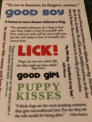 AMERICAN TRADITIONAL DESIGNS LIL’ MESSAGES ‘WOOF MESSAGES’ 20PCS
