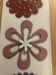 Brad Buddies-Floral Pattern-Set Of 6-Open Package