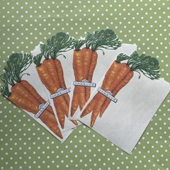 Vintage Blank Home Notecard & Garden Party Carrots Veggie Stationery Note Paper