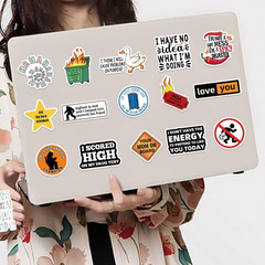 100pcs Funny Meme Stickers Bulk Vinyl Waterproof Decals for Kids Teens Adults