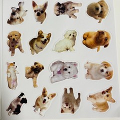 Cute Dog Sticker For packaging Random 2pc NEW from Japan 2枚セット　ステッカー　シール　かわいい