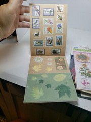 Scrapbooking Cardmaking Stickers Crafts Space Vellum Rub On Dimensional 10 Pks