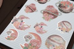 Flower Planet PET Stickers Pack | moon planet flower earth galaxy themed PET