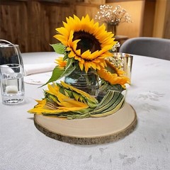 Large Unfinished Wood Slices for Centerpieces 10 Pcs 10-11 inches Natural Woo…