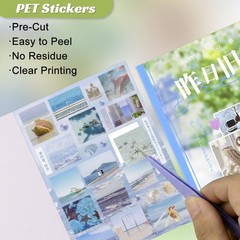 Dreamcore Sticker Book 30 Sheets Japanese Retro Sticker Book for Adults & Jo…