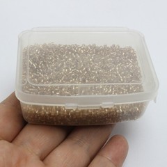 4000 pcs Champagne Color Glass Beads 2mm Silver Foil lined + Storage Box Jewelry