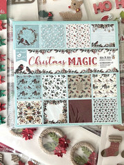 LOT #312 – 9 PKGS CHRISTMAS LITTLE BIRDIE 3D STICKERS & 6X6 PAPER PAD 24 SHEETS