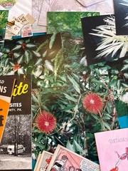 50+ Junk Journal Ephemera Lot Vintage Paper Destash Slides Cards Photos Kit