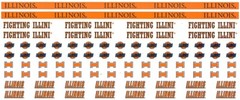 University of Illinois Fighting Illini NCAA Border Scrapbook Stickers 12″