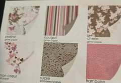 sei ‘Jolie Chocolat Assortment Pack Scrapbk Papers 24 Sheets Stickers 12×12 NEW