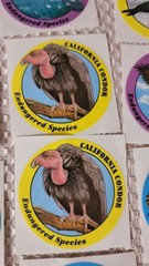 Vintage 1994 Special Expressions Endangered Species 32 Stickers Panda Seal Frog