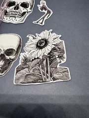 4 Sticker Set Black and White Line Art Skulls Flowers By Julie de Graag Skeleton